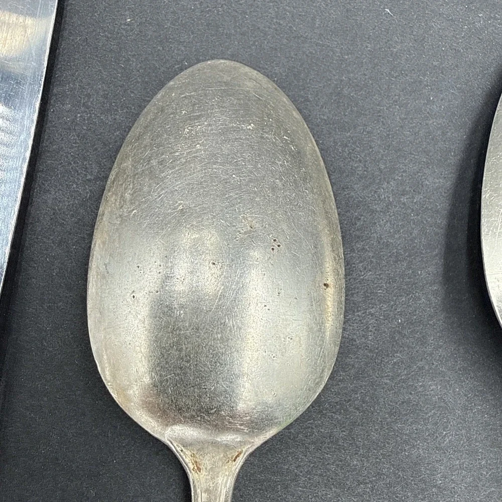 VTG WM Rogers silver plate Overlay 'treasure' Flatware 11 Spoon & Forks Knifes‎